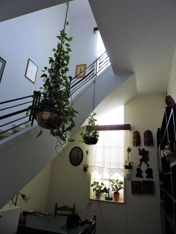 Fotografia z galérie ubytovania Casa Oliver v Aténach