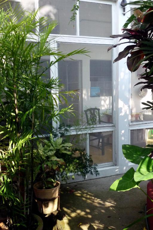 Zahrada ubytování Casa De La Luz - Guesthouse