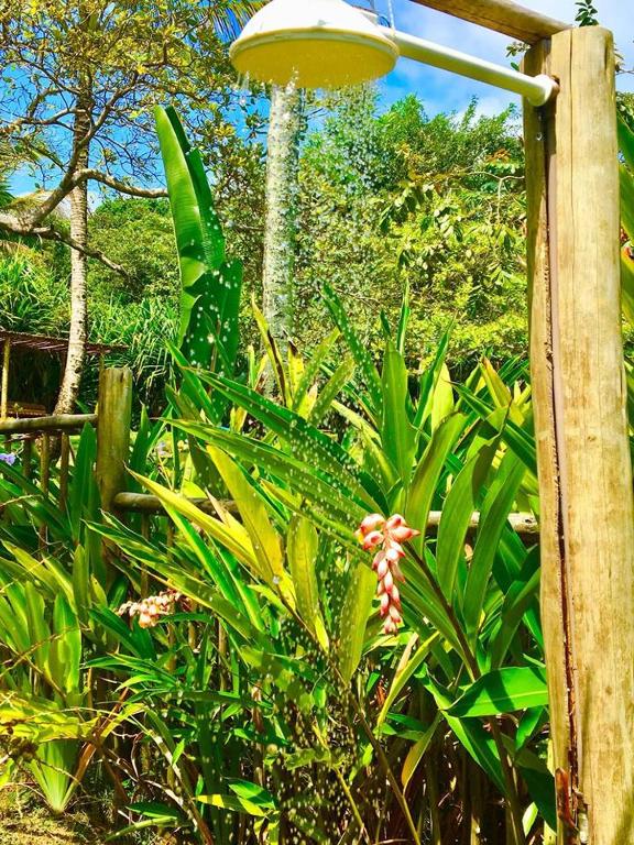  Casa Bromélia Green