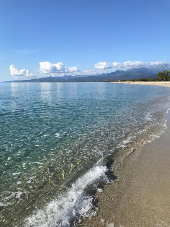 ギソナクシアにあるMarina corsaの海岸の景色