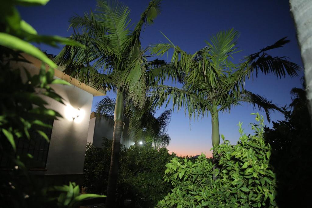 Vonkajšia záhrada v ubytovaní Casa Rural Típica Andaluza, WiFi,Piscina, Barbacoa, Aire Acondicionado, 5min Centros