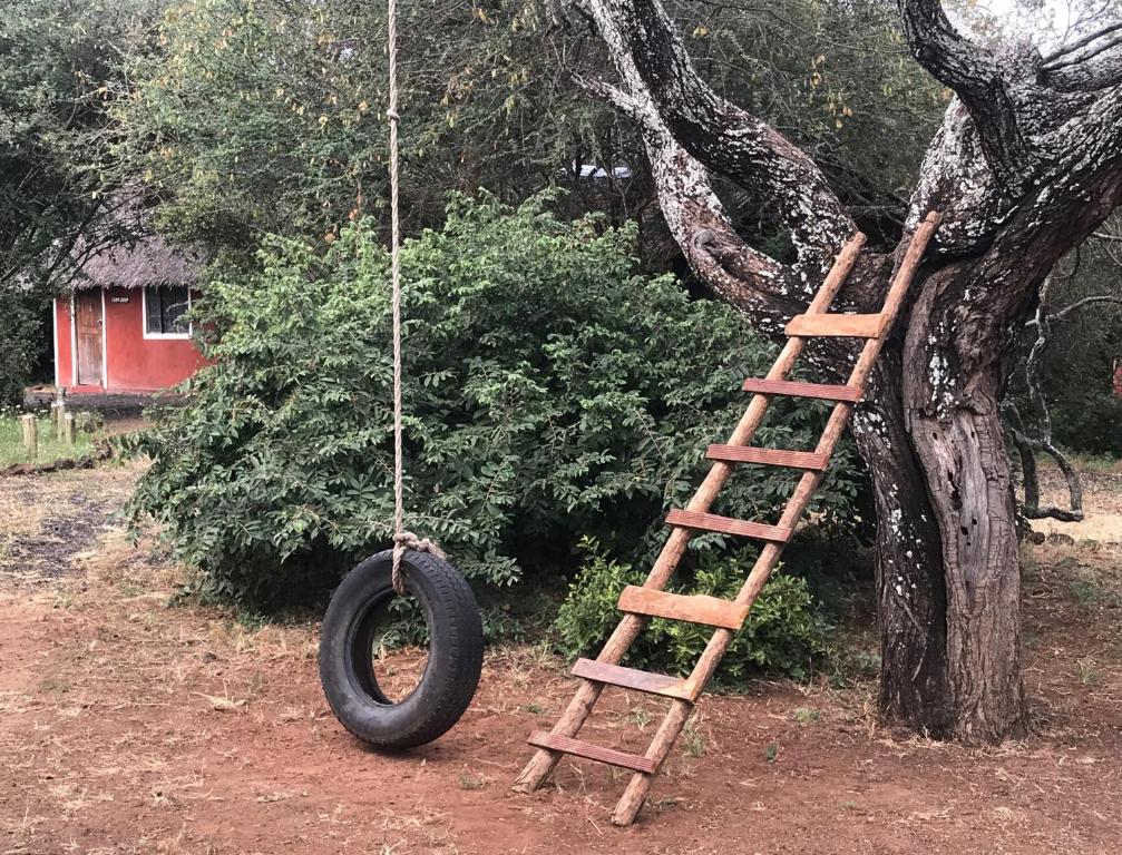 a tire swing hanging from a tree with a ladder at Maasai Simba Camp in Amboseli