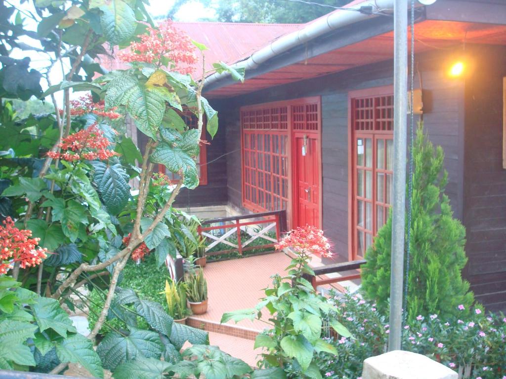 Se'pon Homestay في Makale: منزل فيه باب احمر وبعض النباتات