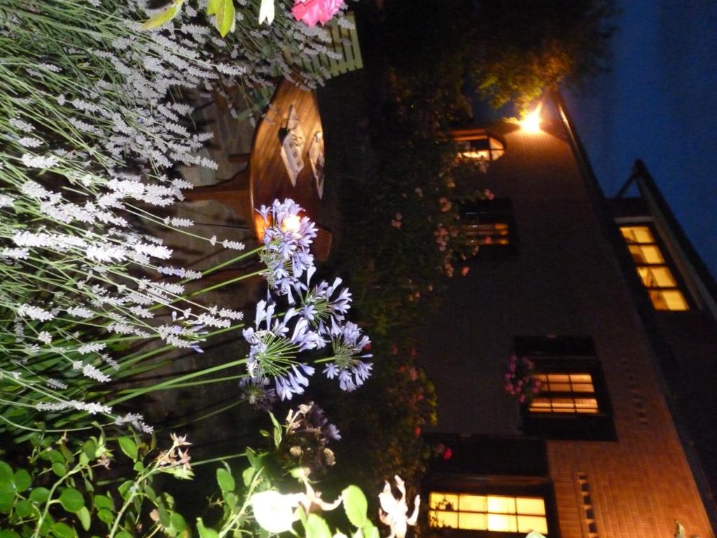 Vonkajšia záhrada v ubytovaní B&B The Roses Garden