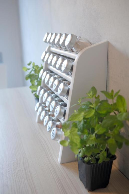 Dr Mandryk HOUSE - 6