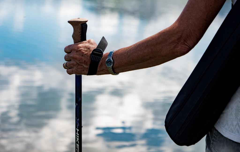 Hosté ubytování Pension Gstrein