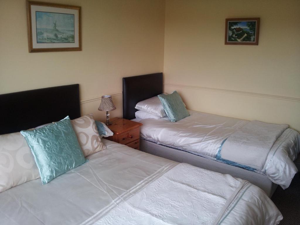 Postel nebo postele na pokoji v ubytování Tir Na Nog B&B