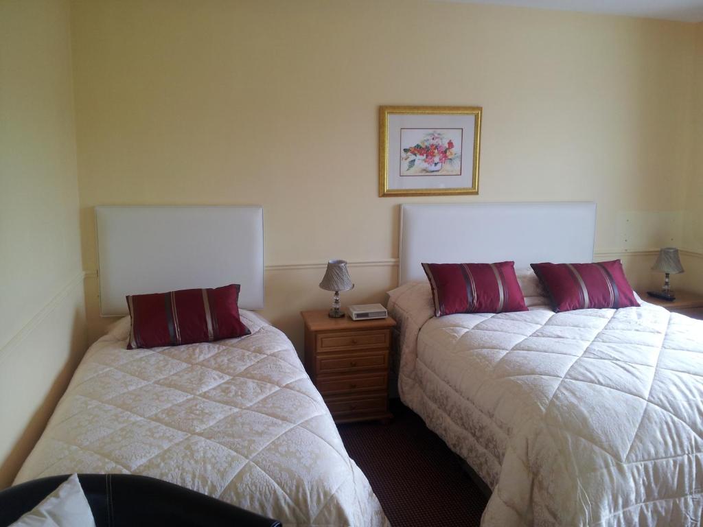 Postel nebo postele na pokoji v ubytování Tir Na Nog B&B
