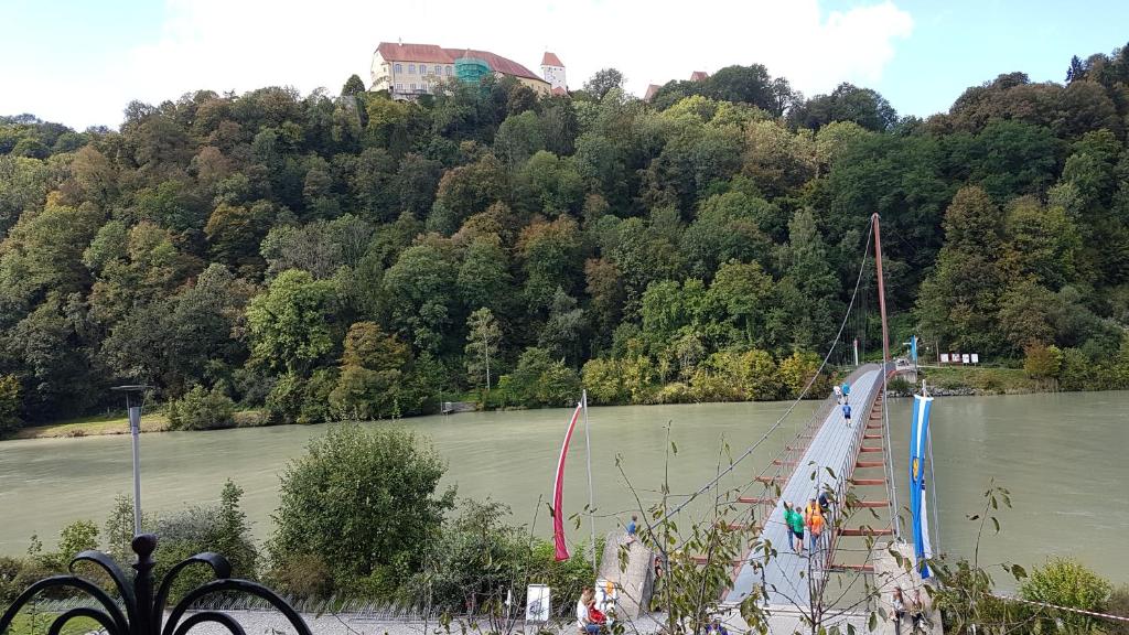 Příroda nedaleko apartmánu