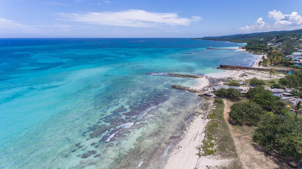 an aerial view of a beach and the ocean at Beach Palms Villa in Silver Sands