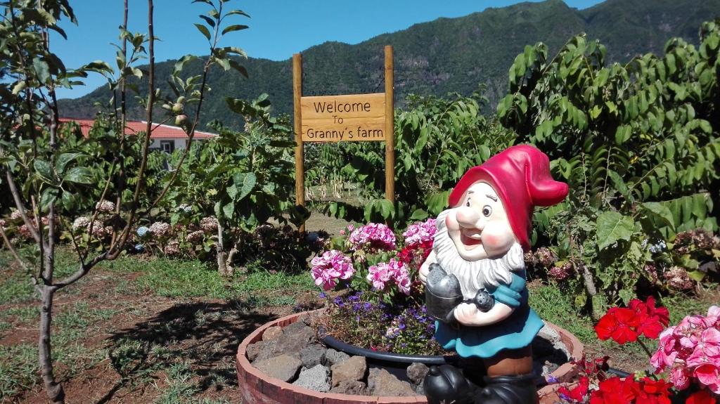 a garden with a statue in a flower garden at Granny's farm in São Vicente