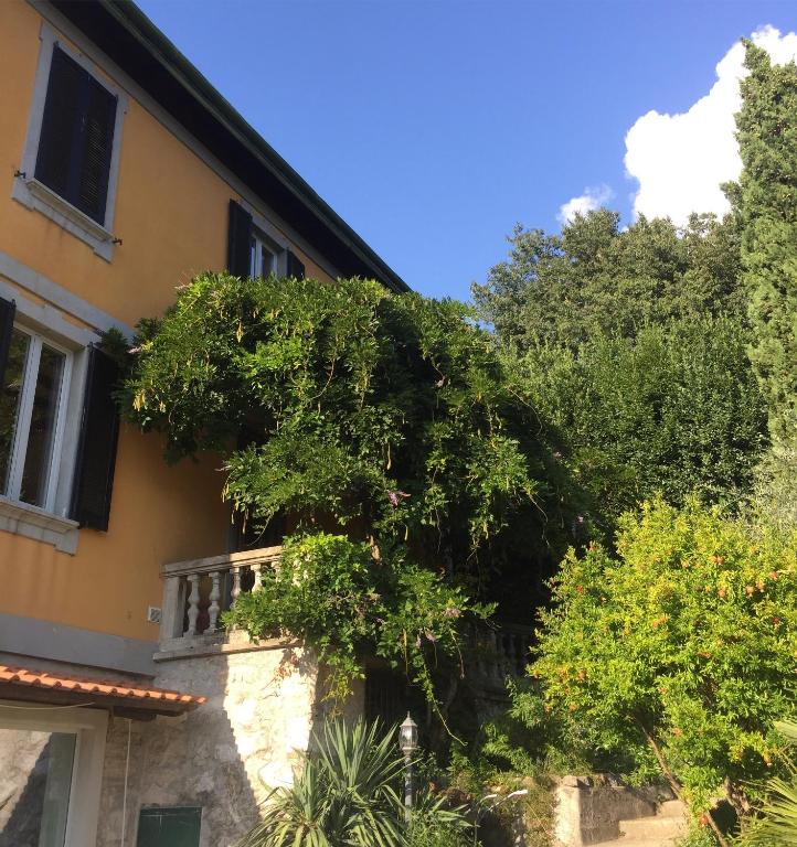 Zahrada ubytování Villa Monte Bianco