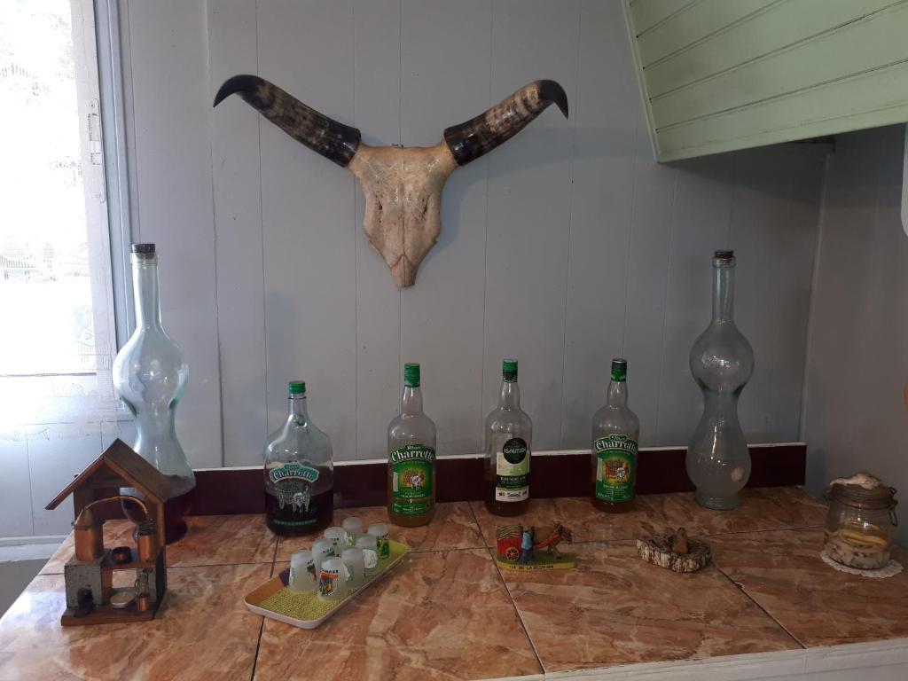 Nápoje v ubytování Les GREVILLEAS