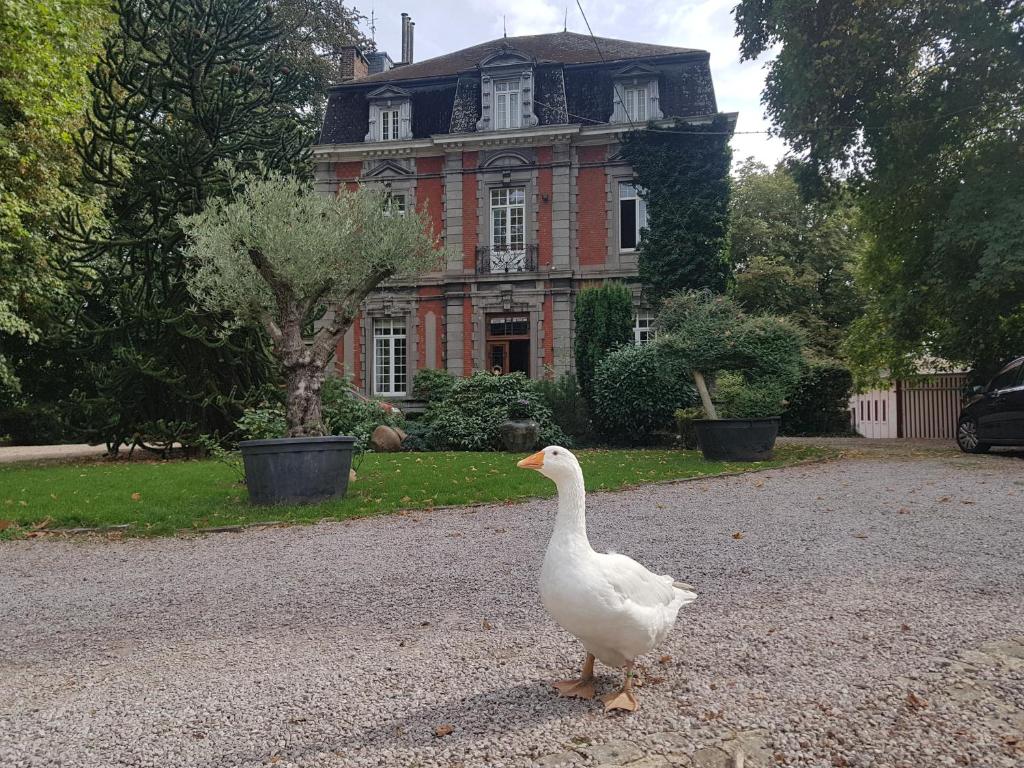 a white bird standing on the side of a road at Château Lambert Hotel-Resto-Parking-Shuttle, a 1 ha green Oasis at 8 min from CRL Airport without any noise in Charleroi