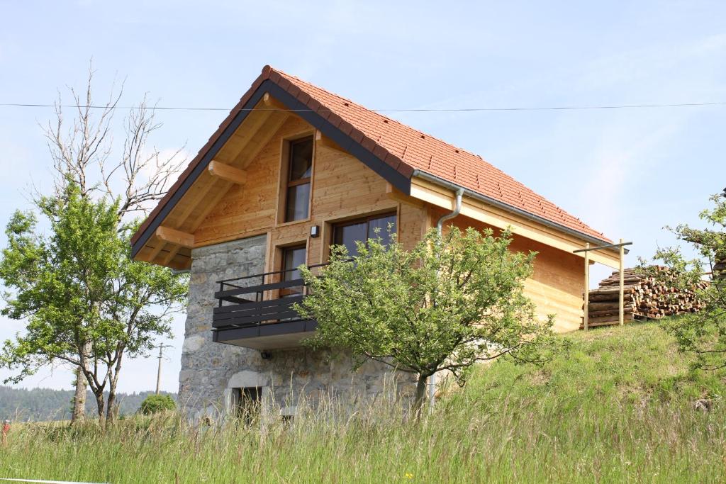 ein Haus auf einem Grashügel in der Unterkunft Le chalet des Pierres in Viuz-en-Sallaz