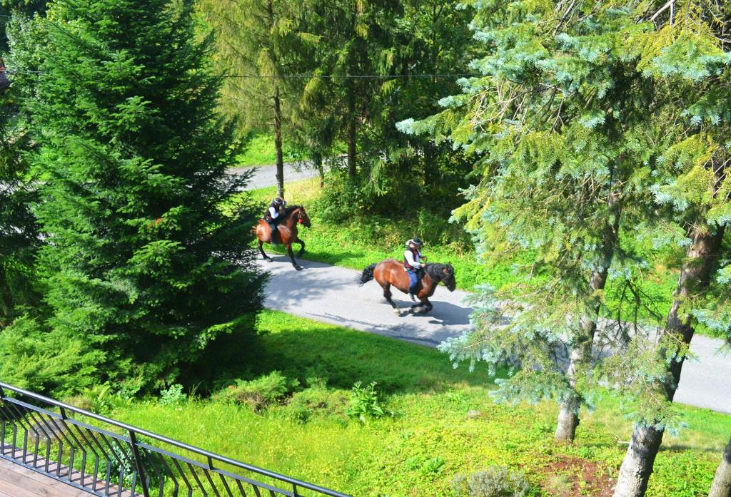 Hosté ubytování Villa Platinum