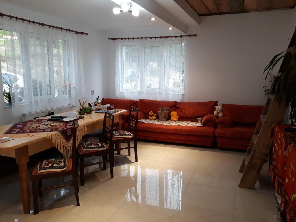 a living room with a table and a couch at Casa Geanina in Colibiţa