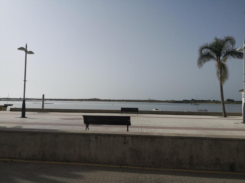 a bench sitting on a sidewalk next to a body of water at Apartamentos en Paseo Maritimo in El Rompido