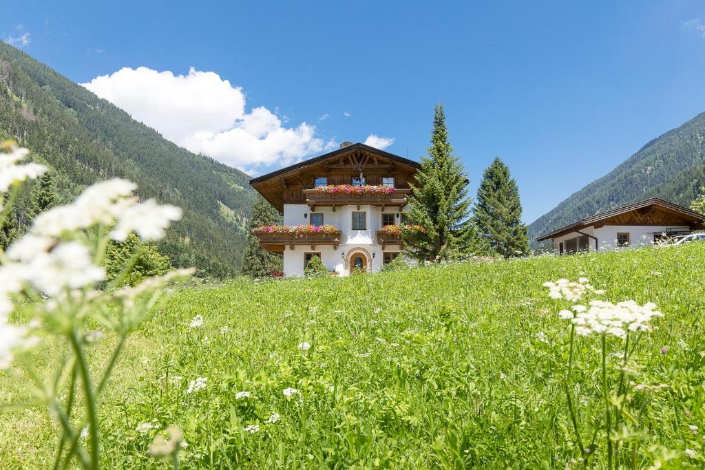 a house on a hill with a field of flowers at Landhaus Pfurtscheller in Neustift im Stubaital