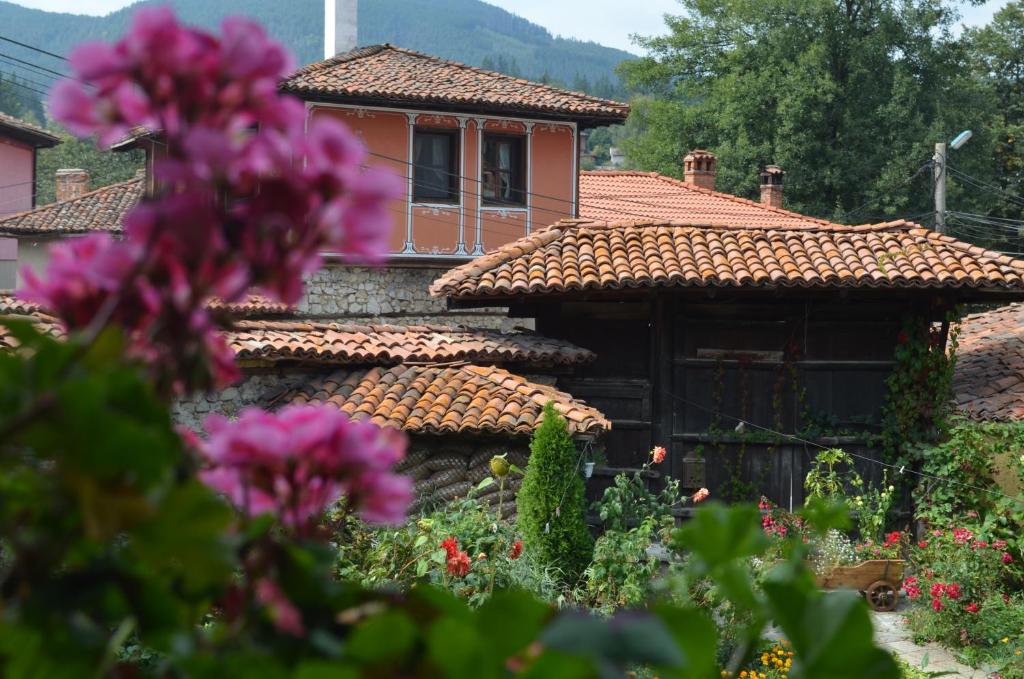 Zahrada ubytování Guest House Zlatniyat Telets