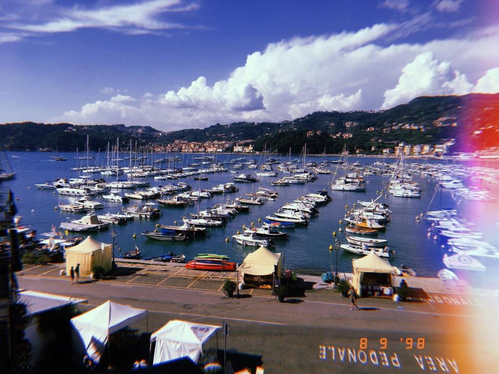 a bunch of boats are docked in a harbor at La Finestra sul Mare in Lerici