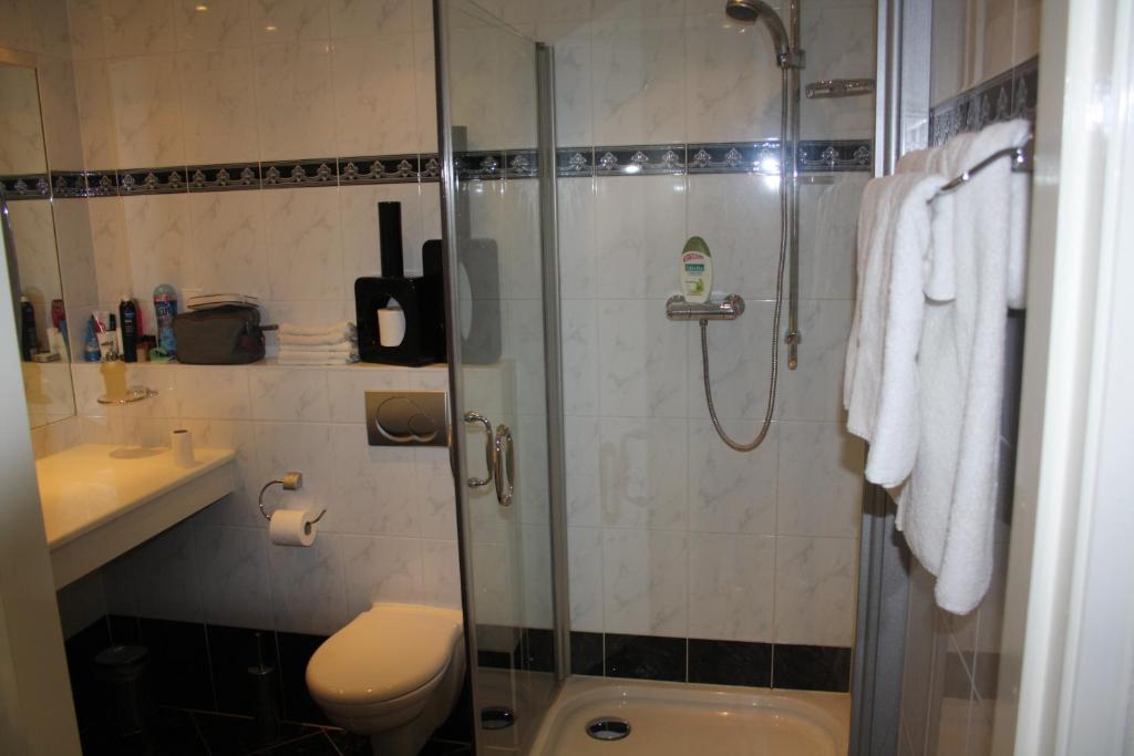 a bathroom with a shower and a toilet and a sink at Villa 't Haasduin in Wijk aan Zee