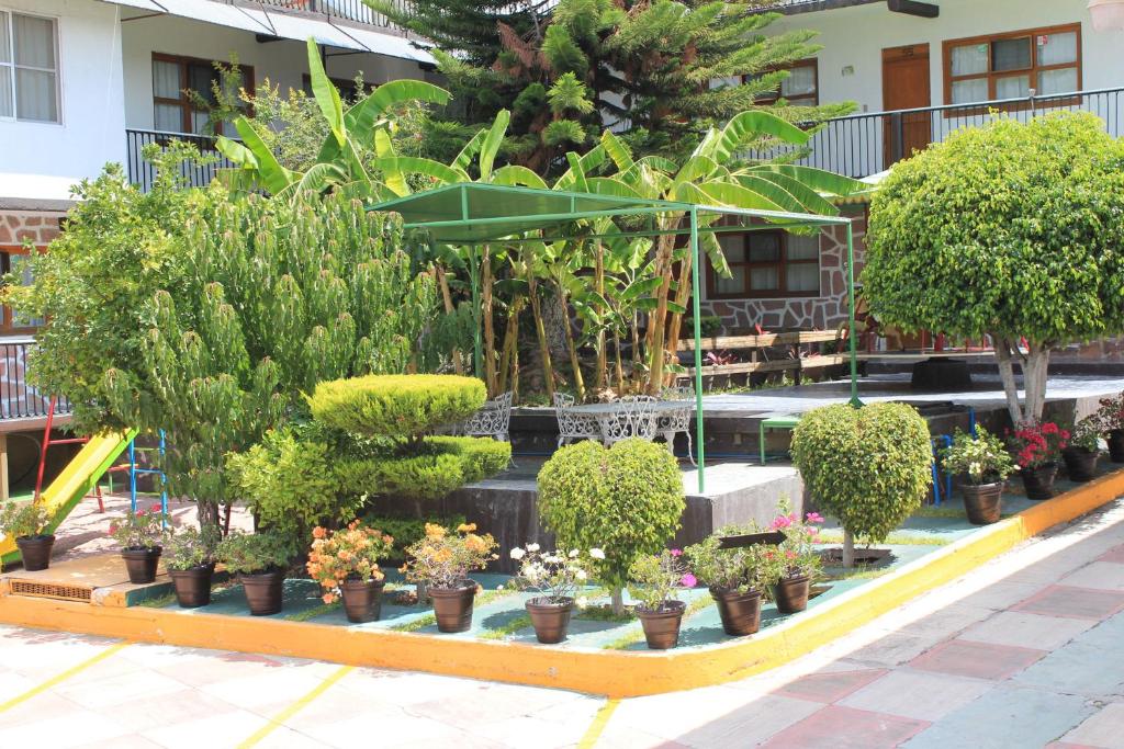 Zahrada ubytování Hotel Avenida Ixmiquilpan