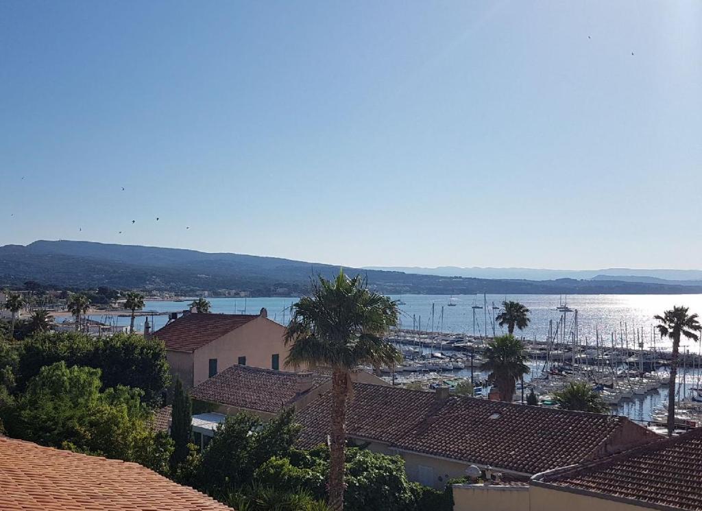 uitzicht op een haven met palmbomen en het water bij Le LUMIERE in La Ciotat