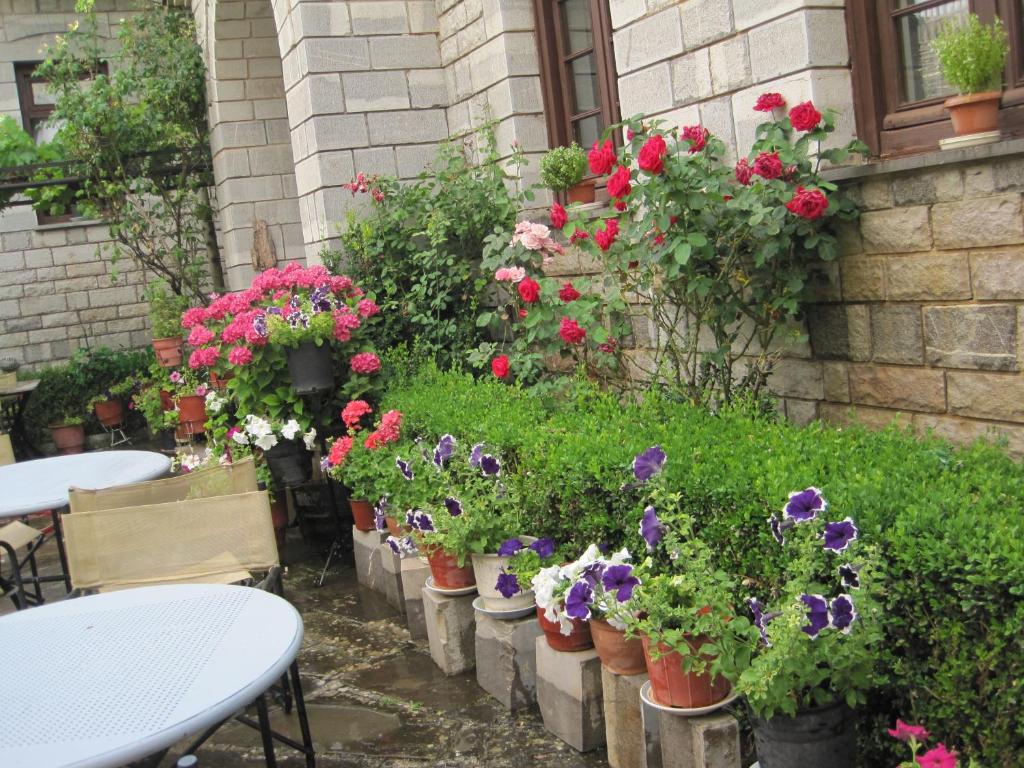 Zahrada ubytování Hotel Papigo AE