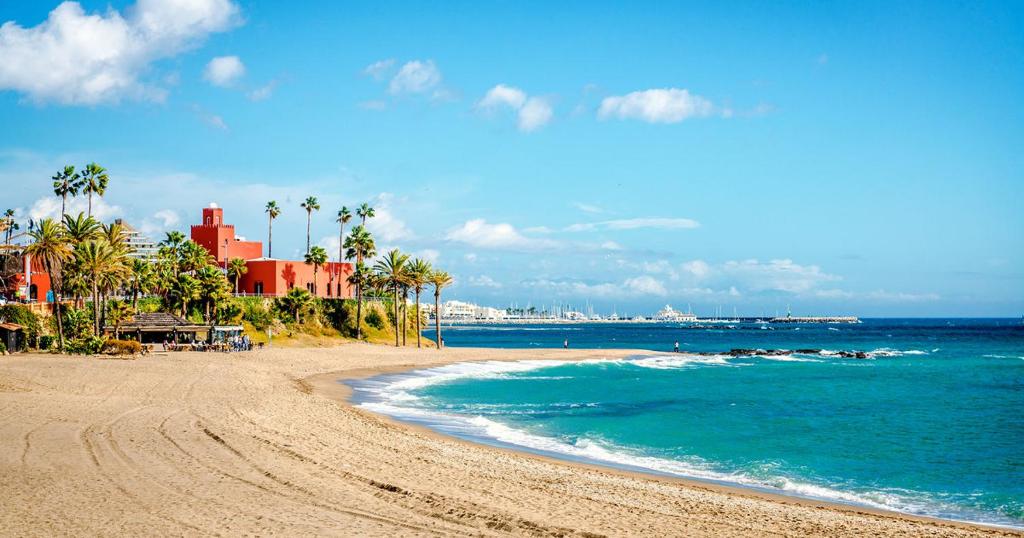 piaszczystą plażę z palmami i oceanem w obiekcie Apartament Benalmadena Puerto Marina w mieście Benalmádena