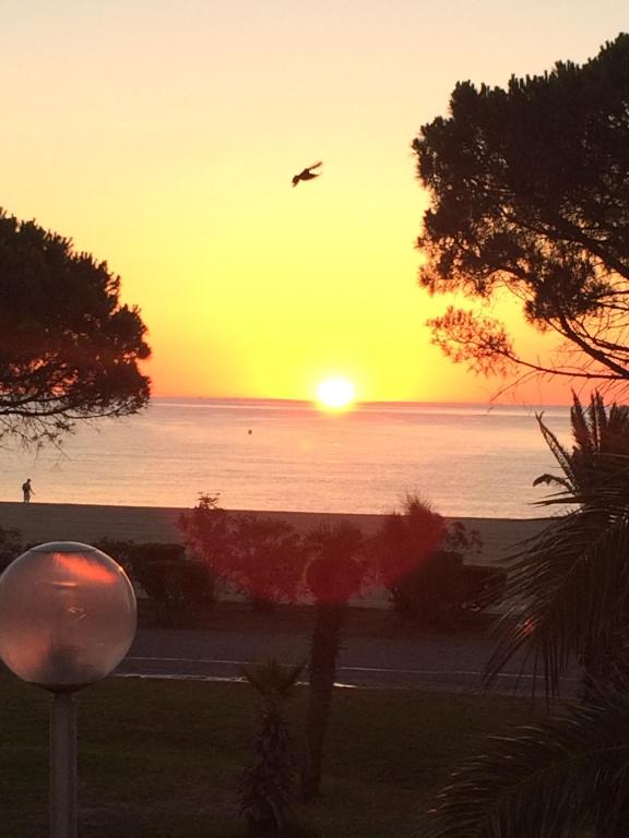 un oiseau survolant l'océan au coucher du soleil dans l'établissement Appartement front de mer, Argeles Plage, Vue exceptionnelle, à Plage dʼArgelès