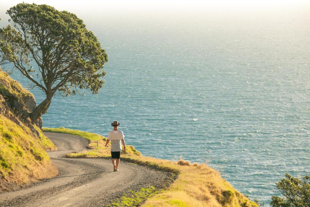 Coromandel Shelly Beach TOP 10 Holiday Park - Resim 45