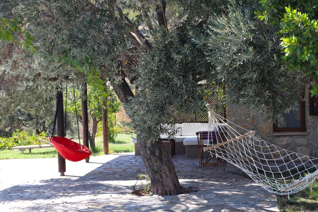 A garden outside Zephyros Hotel