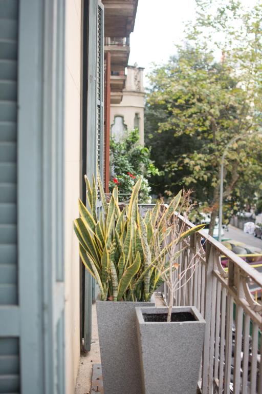 Forget Me Not Barcelona - 12