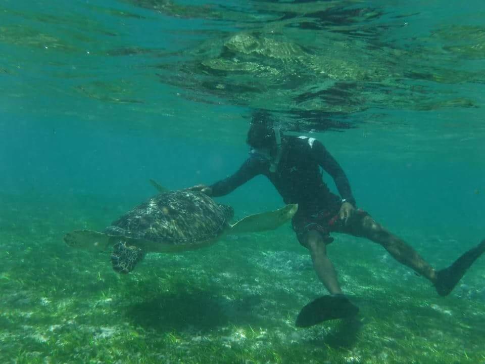 Hosté ubytování Dili gili