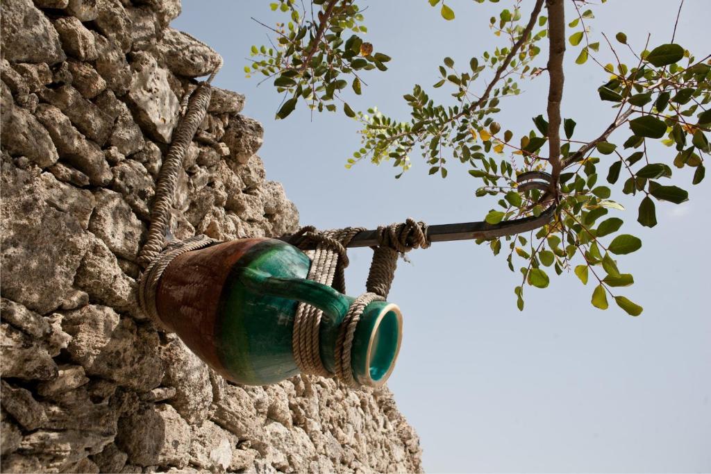 Fotografie z fotogalerie ubytování Masseria Bosco & Masseria Strazzati v destinaci Avetrana