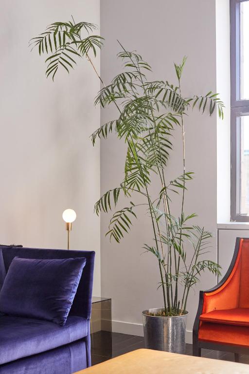 Hotel St Paul, Montreal, a Member of Design Hotels - Resim 25