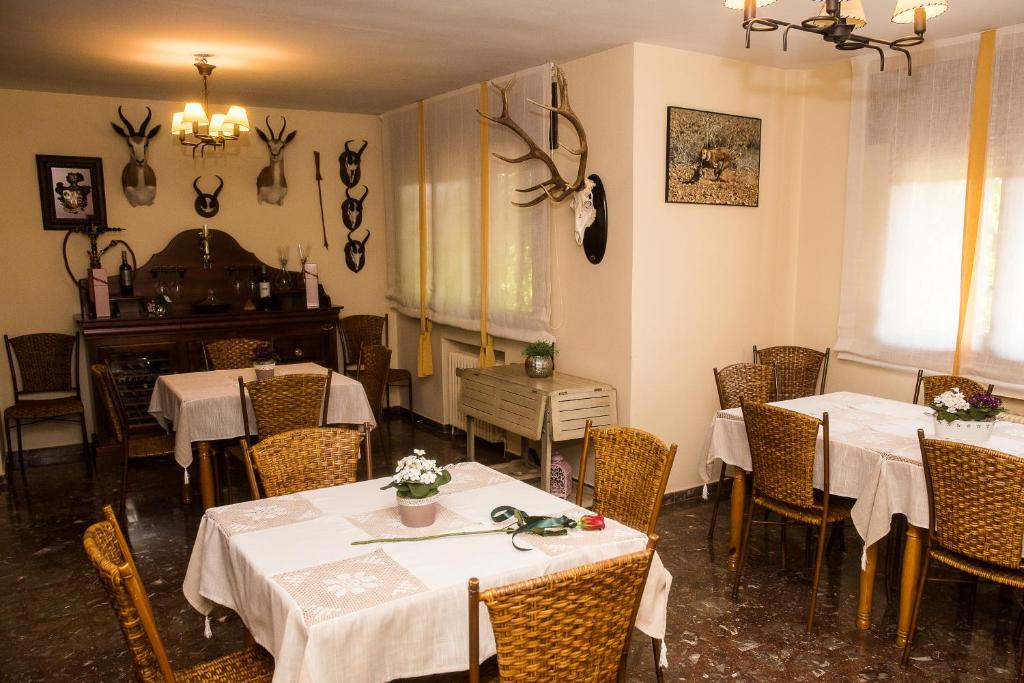 Fotografie z fotogalerie ubytování Finca Lebrel v destinaci Pedrola