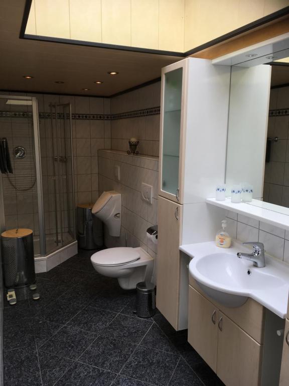 een badkamer met een toilet, een wastafel en een spiegel bij Ferienhaus Pacco in Wermelskirchen