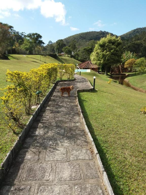  Canto da serrinha