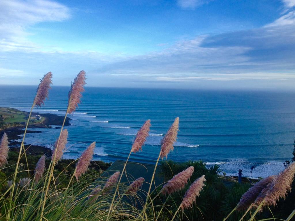 a field of grass with the ocean in the background at Seasidestyle in Raglan