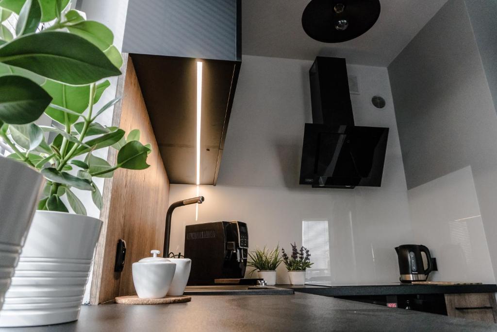 Kuchyň nebo kuchyňský kout v ubytování Apartamenty Tychy Barona