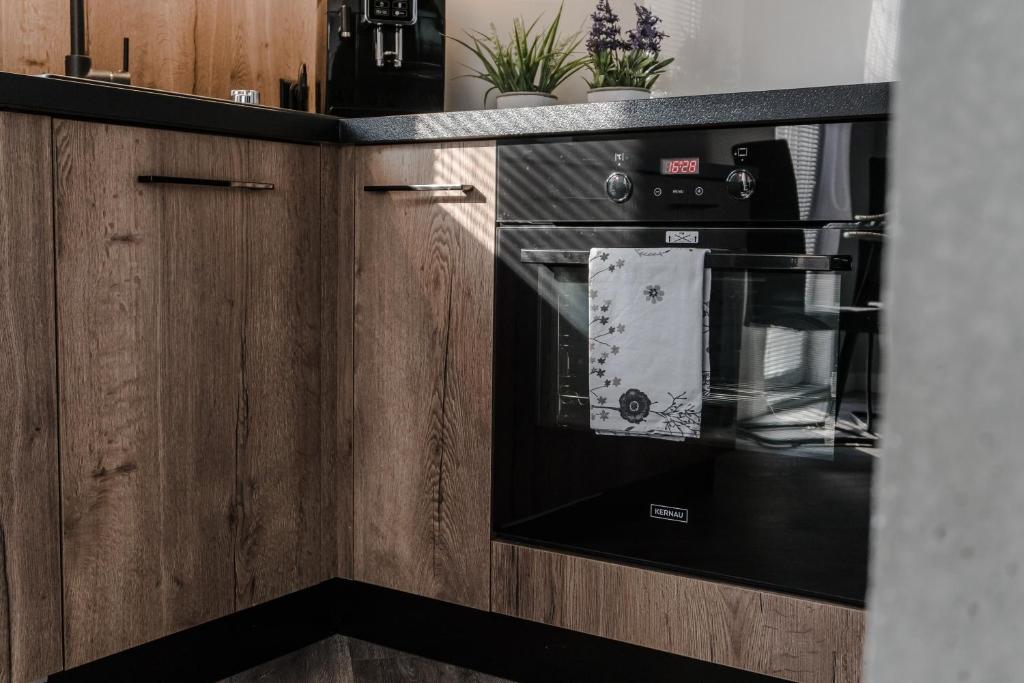 Kuchyň nebo kuchyňský kout v ubytování Apartamenty Tychy Barona