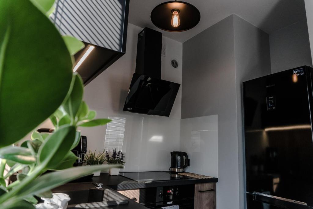 Kuchyň nebo kuchyňský kout v ubytování Apartamenty Tychy Barona