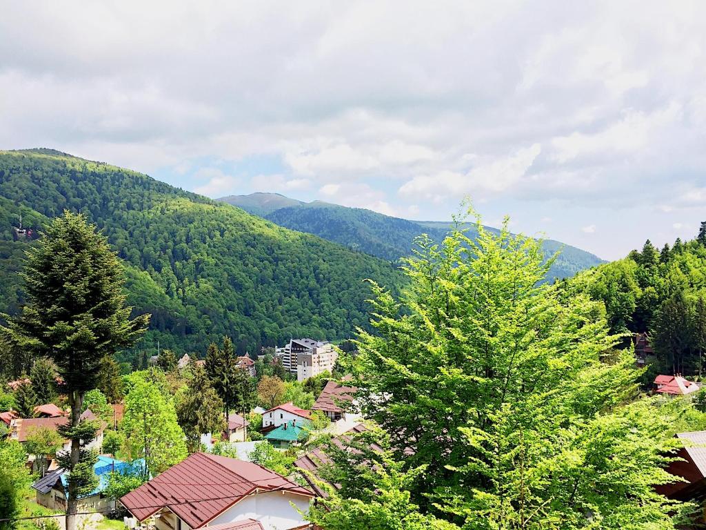 a town in the mountains with trees and buildings at Casa Miu in Sinaia