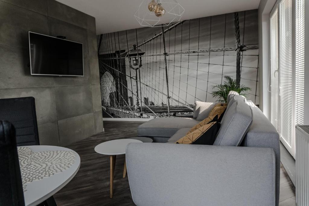 TV a/nebo společenská místnost v ubytování Apartamenty Tychy Barona