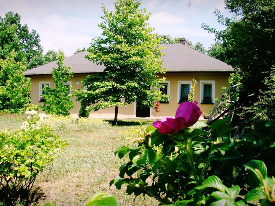 Zahrada ubytování Agroturystyka Pod Modrzewiami