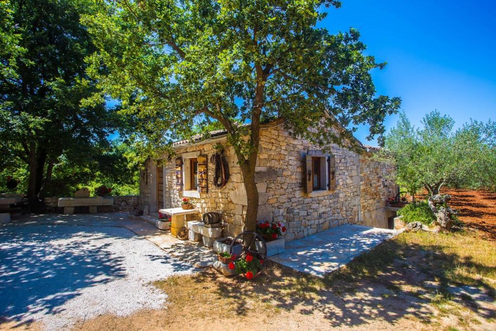 a stone house with a tree in front of it at Holiday House Legovic in Nova Vas