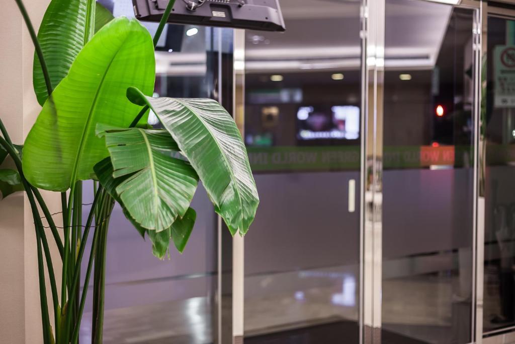 Fotografie z fotogalerie ubytování Green World Linsen v destinaci Taipei