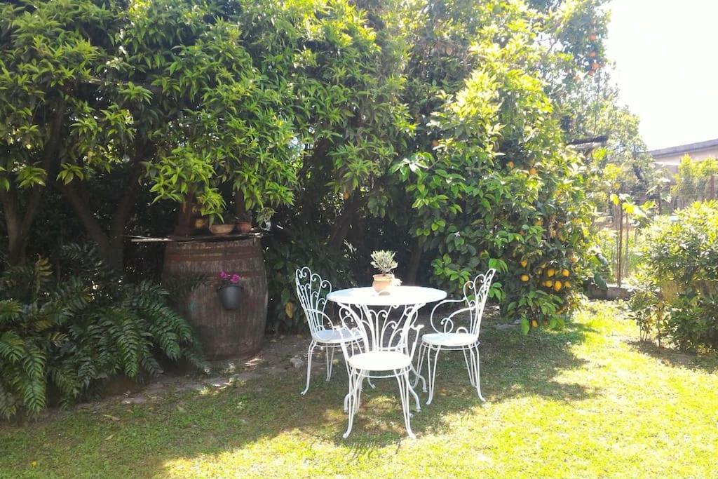 アングリにあるCasa Marinellaの木の植わる庭のテーブルと椅子